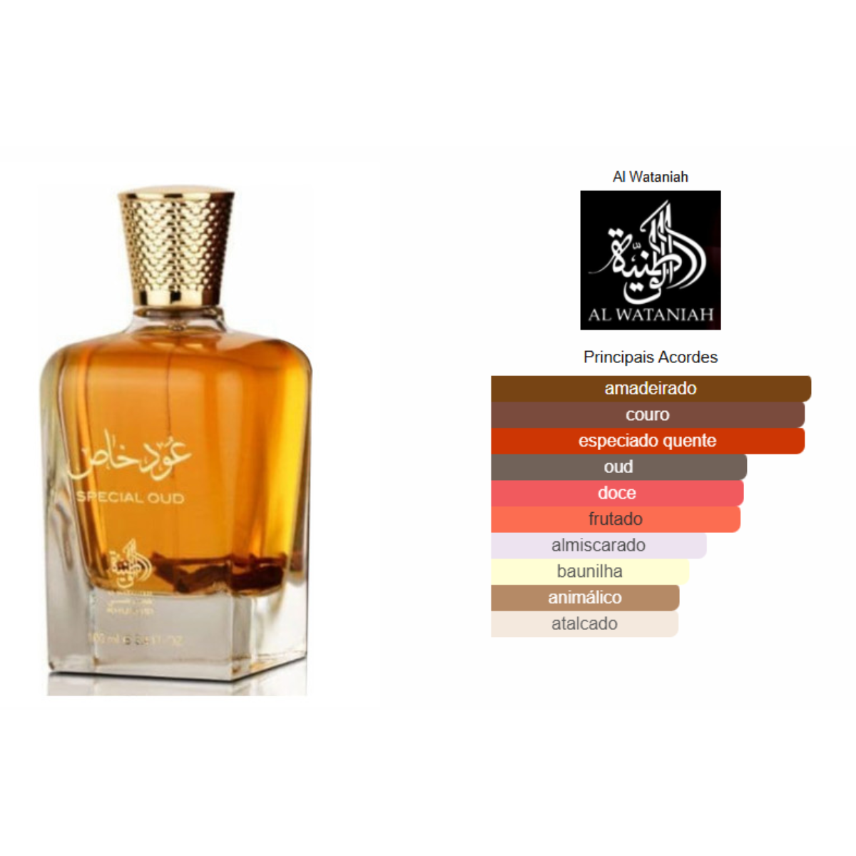 Decant Perfume Árabe Masculino Special Oud De Al Wataniah - Decant de 5ml e 10ml - Rihla Perfumaria 