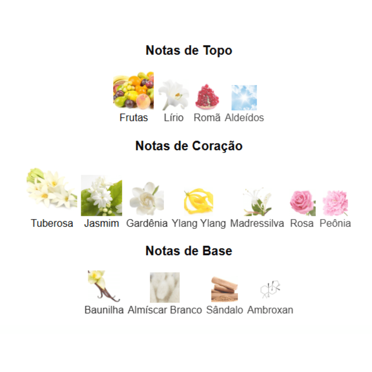 Decant Perfume Árabe Feminino Fakhar Rose de Lattafa - Decant de 5ml e 10ml - Rihla Perfumaria