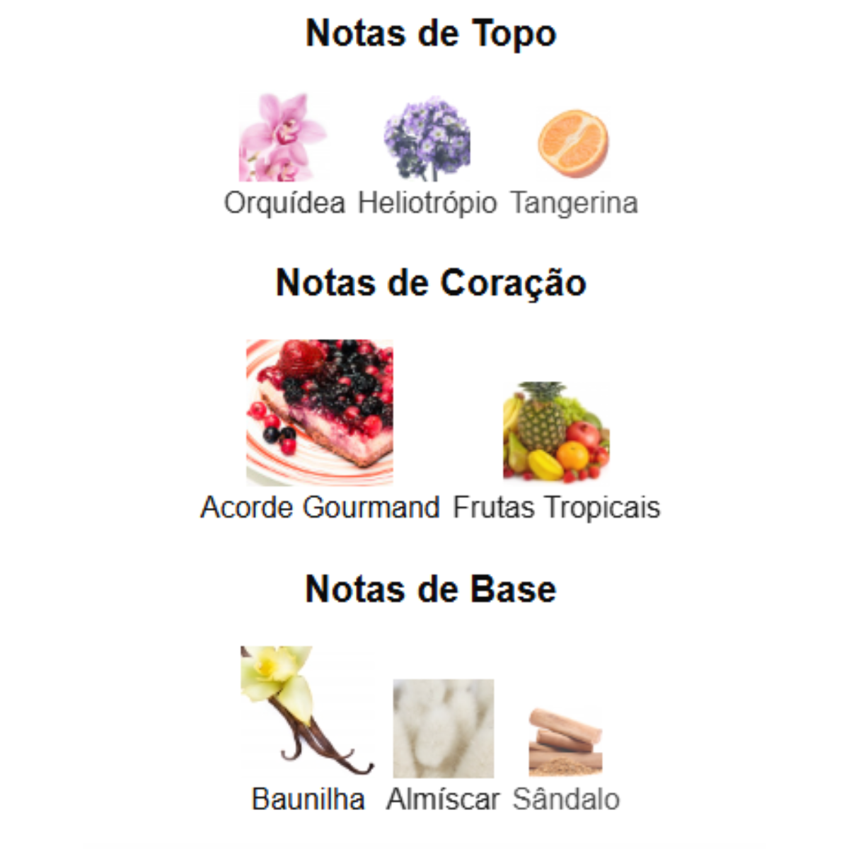 Decant Perfume Árabe Feminino Yara de Lattafa - Decant de 5ml e 10ml - Rihla Perfumaria